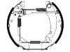 Zapata de freno Brake Shoe Set:4241.7V