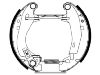 Zapata de freno Brake Shoe Set:4241.6P